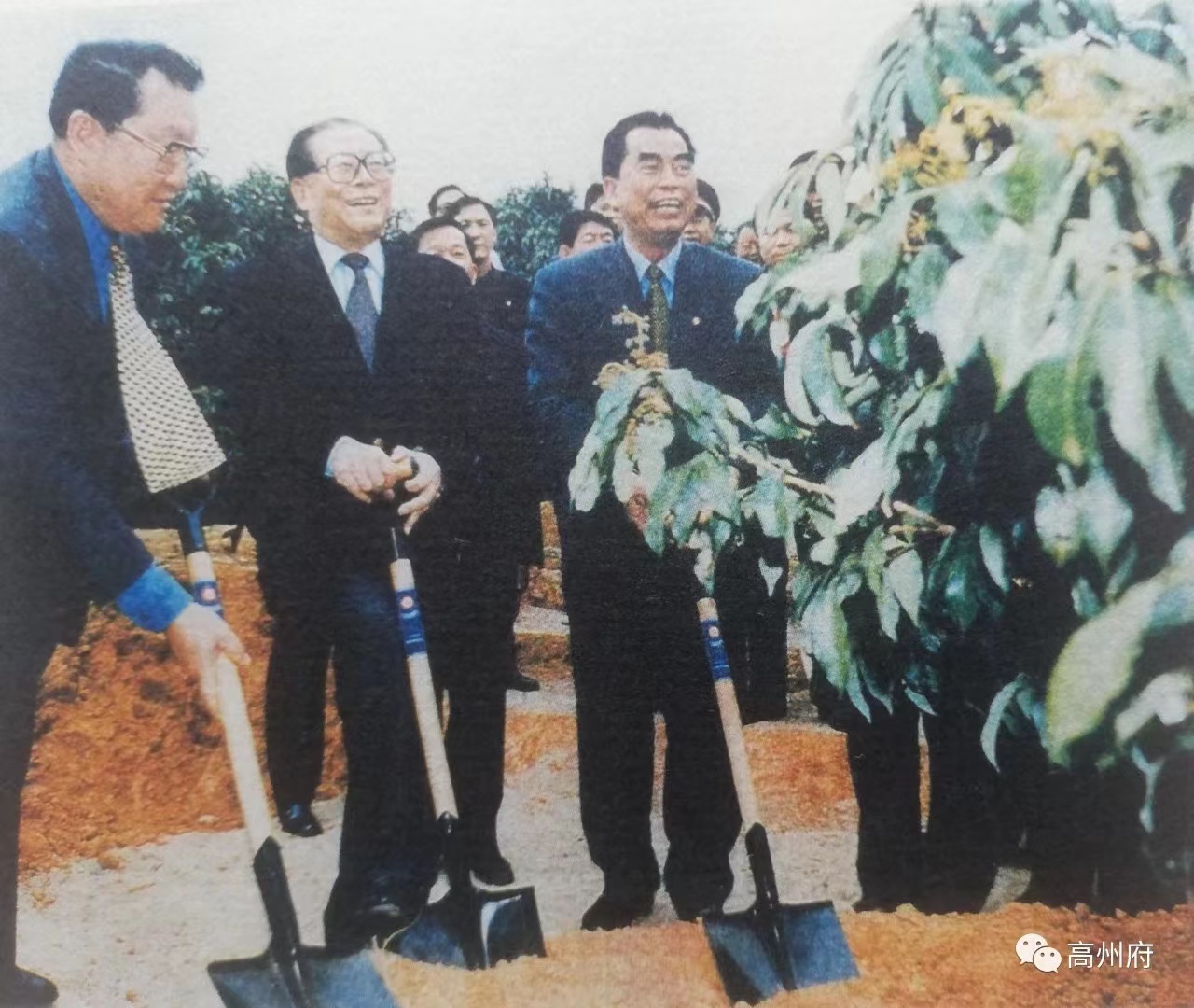 珩祥电保-中国荔枝博物馆开云集团中国有限公司官网用电改造